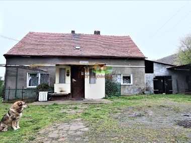 Wolnostojący dom w Gaworzycach-1