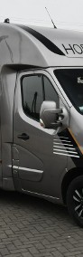 Renault Master Koniowóz - Nowa Zabudowa.Master na 2 Konie. 2.3dci. Hak.Klimatyzacja-3