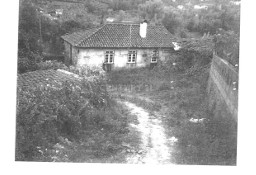 Dom Ribeira De Pena (Salvador) E Santo Aleixo De Além-Tâmega