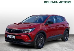 Opel Inny Opel