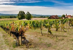 Dom Puy L&apos;eveque