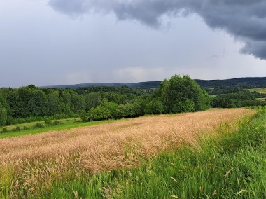 Pięknie położone działki rolne do użytkowania - rekreacyjnie w Sieklówka-1