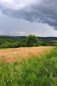 Pięknie położone działki rolne do użytkowania - rekreacyjnie w Sieklówka-2