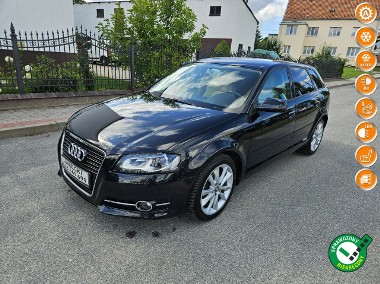 Audi A3 II (8P) Opłacona Zadbana Serwisowana Fajnie Wyposażona 1 WŁ Po Serwisie-1