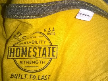 Bluzka chłopięca Homestate -2