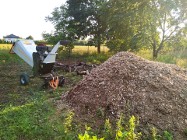 Rębak Wynajem Wrocław utylizacja gałęzi zrębkowanie mulczowanie gałęzi