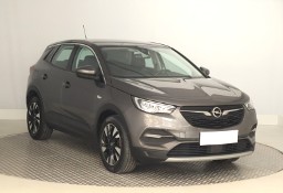 Opel Inny Opel , Salon Polska, 1. Właściciel, Serwis ASO, Automat, VAT 23%,