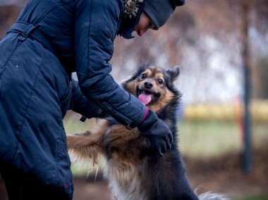 Dom potrzebny dla MacGyvera od zaraz - adoptujesz?-1