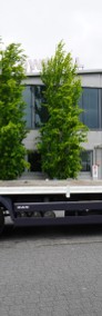 TGS 35.360 8×2 / HDS Fassi F165A.2.22 / Pilot / Laweta 7,8 m_252942-4