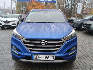 salon Polska-1