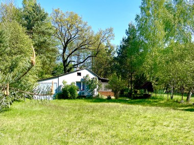 Uroczy domek w lesie nad strumykiem 30 min od Warszawy-1