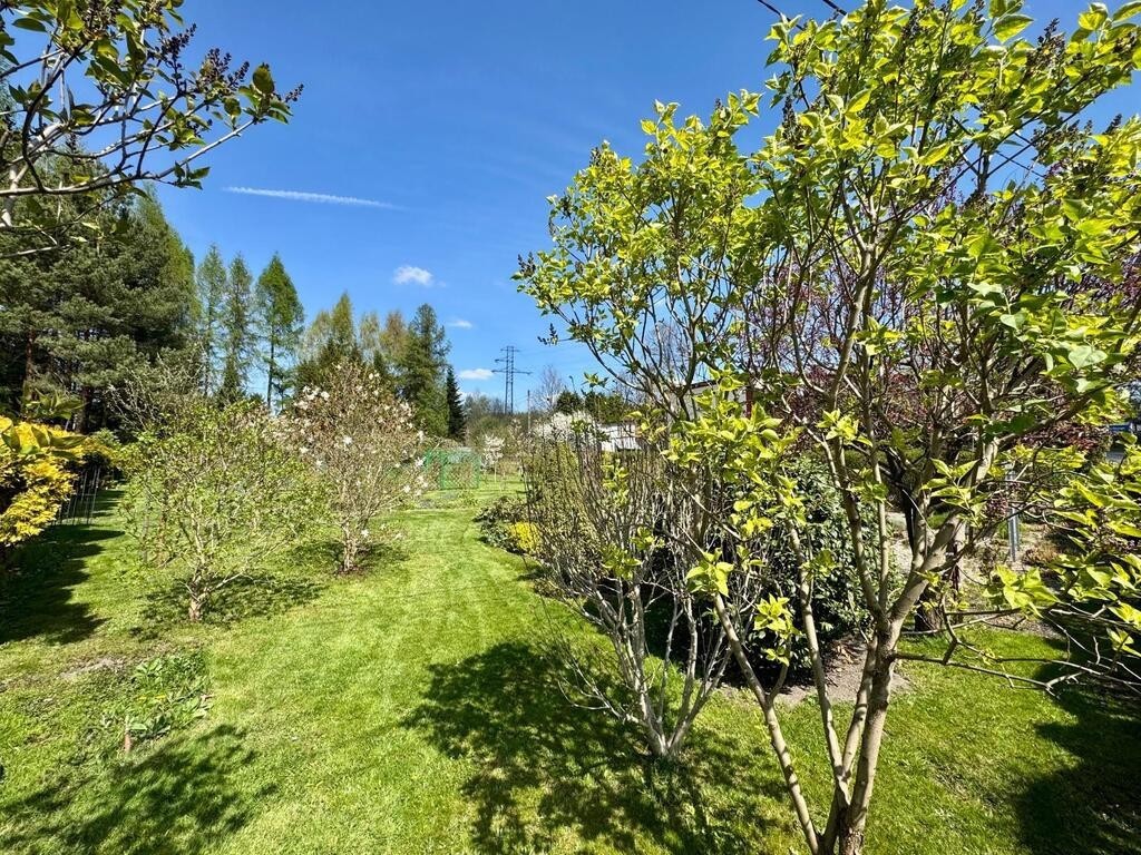Działka budowlana z ogrodem 800 m² - Widok 6