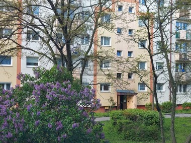 Mieszkanie w zielonej okolicy dzielnicy Szwederowo-1