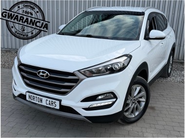 Pierwszy właściciel -1