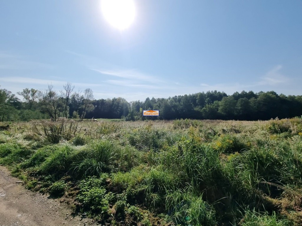 Dom na sprzedaż, 5 pokoi, 170 m², Wielka Wieś