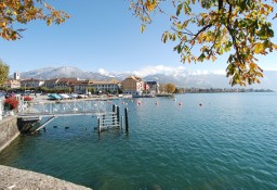 Lokal Vevey