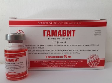 Gamavit Gamawit 5 x 10 ml-1