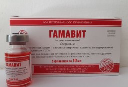 Gamavit Gamawit 5 x 10 ml