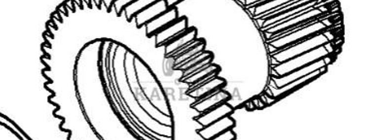 Massey Ferguson 5410 Koło Zębate Zębnik Zębatka Sprzęgła Skrzyni Biegów 47 / 29 zębów 4303606M2-1