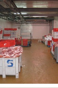 Na sprzedaż ciągle czynny zakład produkcji mięsnej-3