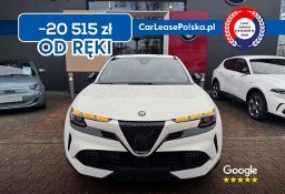 Alfa Romeo Inny Alfa Romeo