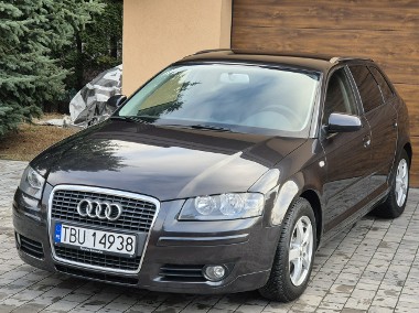 Audi A3 II (8P) 2007r, 1.9TDI 105KM, Org. Lakier, Nowy Rozrząd, Nowy Dwumas-1