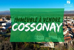 Dom Cossonay-Ville