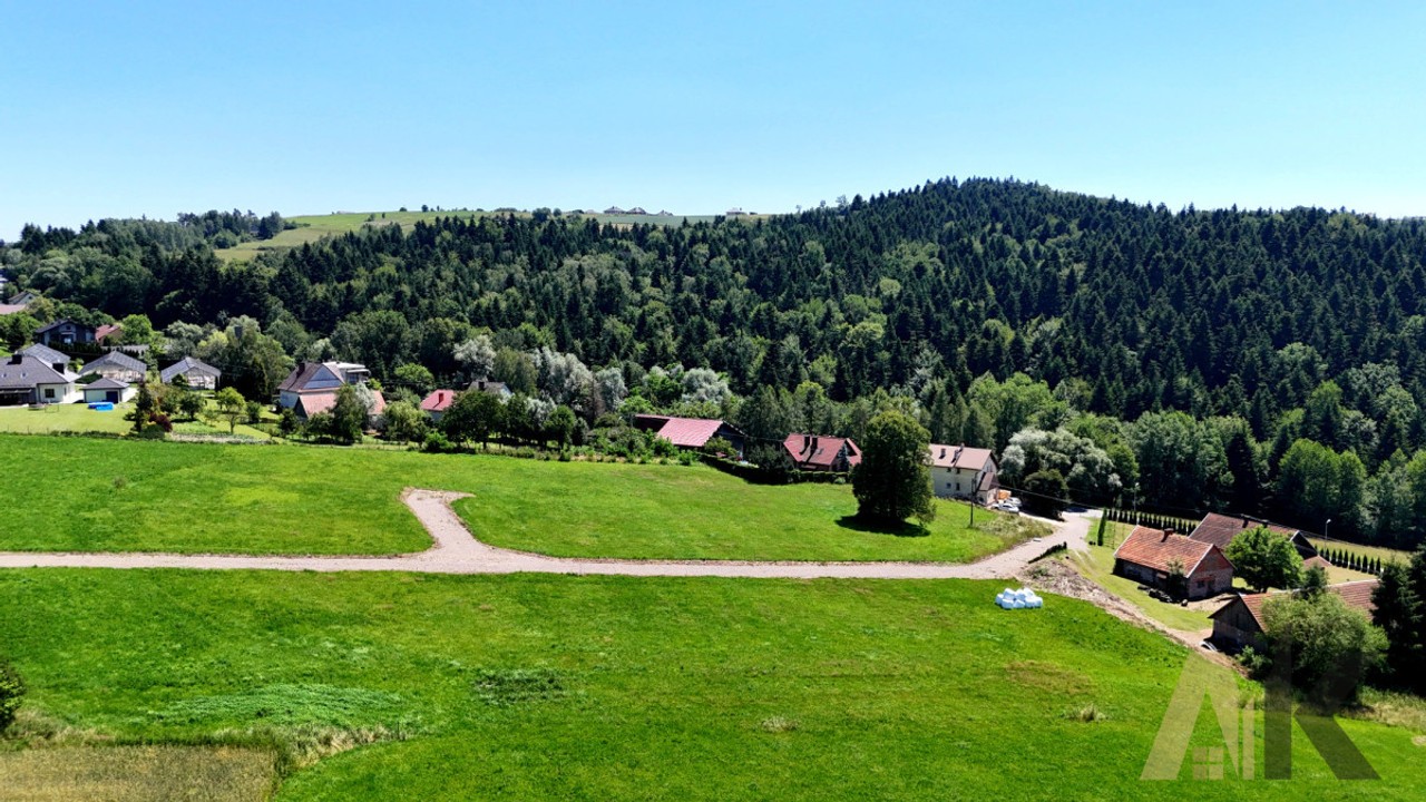DZIAŁKA BUDOWLANA - WIELOGŁOWY GMINA CHEŁMIEC - Widok 5
