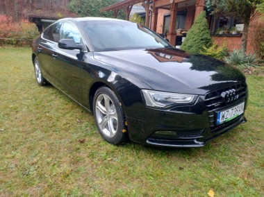 QUATTRO-1