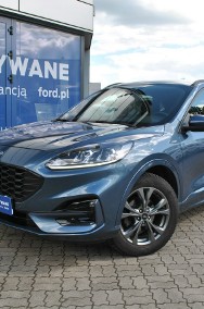 Ford Kuga III ST-Line 2,0EcoBlue 190KM A8 AWD Gwarancja ASO Forda-2