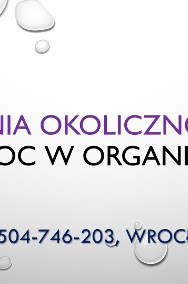 Organizacja imprez, tel. , Wrocław, pomoc, spotkania, przyjęcia. usługi pomocy-2