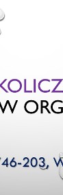 Organizacja imprez, tel. , Wrocław, pomoc, spotkania, przyjęcia. usługi pomocy-4