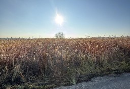 Działka budowlana Borzęcin Duży Kosmów