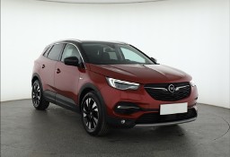 Opel Inny