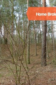 Działka leśna Polaki-2
