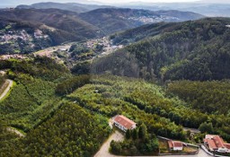 Lokal Coimbra, Torres Do Mondego