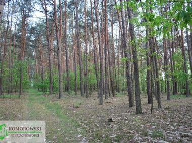 Działka leśna Rumoka-1