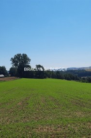 Działka rolna 4,5 ha w Brzuchani pod Miechowem!-2