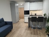 Mieszkanie do wynajęcia Katowice ul. Karoliny – 25 m2