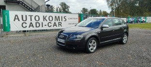 Audi A3 II (8P) Super stan, pełna dokumentacja.
