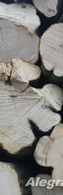 drewno kominkowe łódź łodz lodz opałowe opalowe do kominka-4