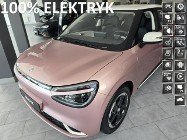 Inna Inny 42,3 kWh, 310 zasięg, 8Lat Gwarancji, Kamery 360,