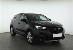 Opel Inny