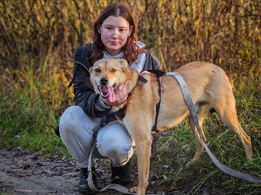 Aktywny, otwarty, młodziutki pies od szczeniaka w schronisku, adoptuj!-1