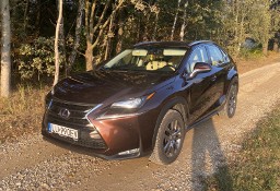 Lexus NX NX 14- Zadbany, hybryda, dewasto, hak, stan, 4x4