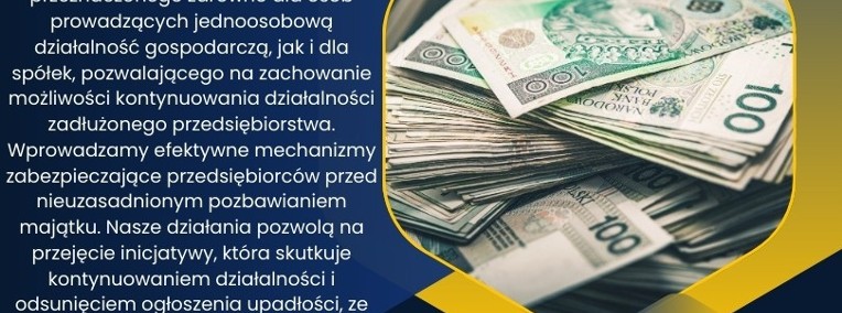 Skup Spółek Zadłużonych / Działalność Gospodarcza ? -1