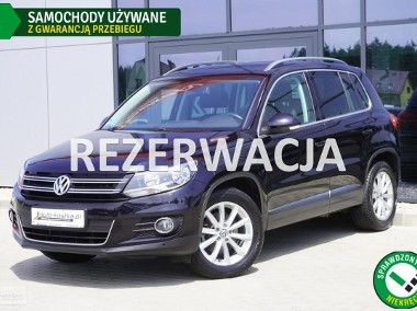 Volkswagen Tiguan I 8xAlu Kamera Asystent Czujniki Navi Grzane fotele GWARANCJA Bezwypad-1