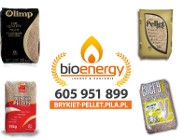 Złotów pellet drzewny BioEnergy brykiet kominkowy
