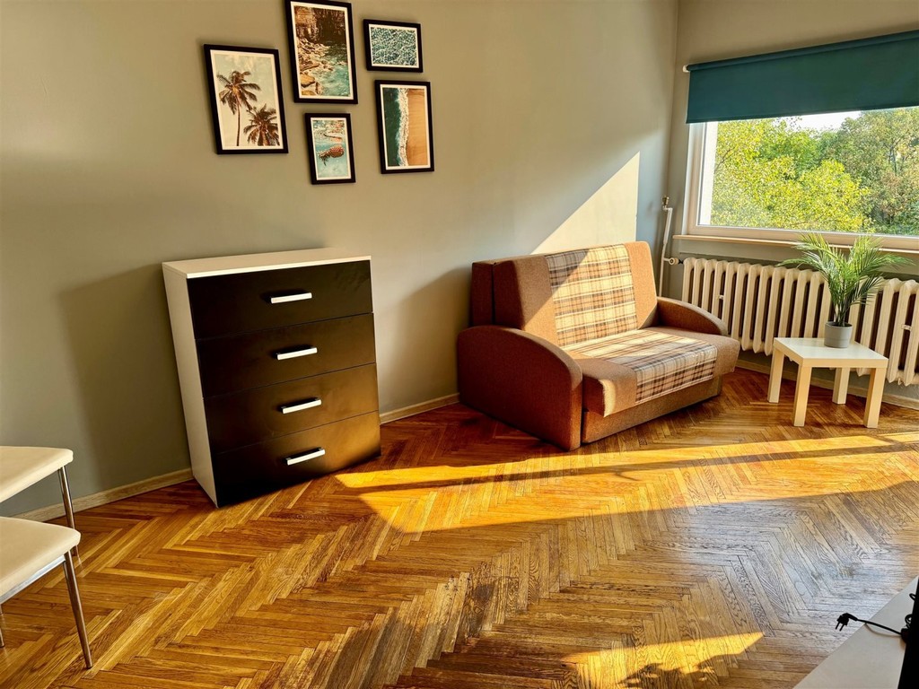 Teofilów, kawalerka z balkonem od zaraz - Widok 2