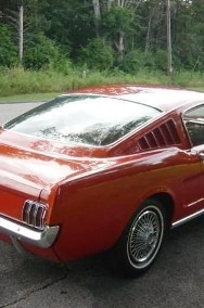 Ford Mustang 1965 Fastback Auto Punkt-2